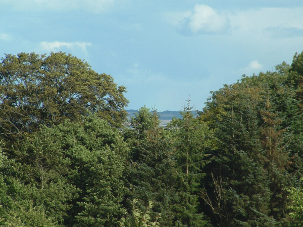 DSCF0097