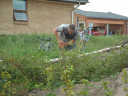 DSCF0078