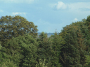 DSCF0097