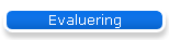 Evaluering